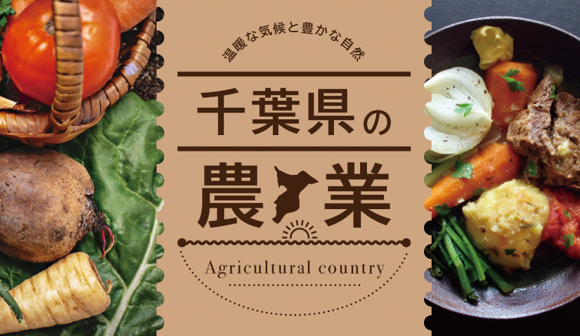 千葉県農業の現状 Jaグループ千葉